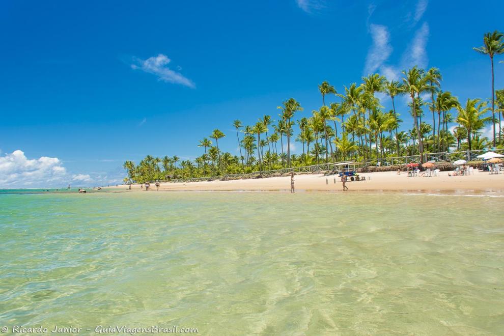 Imagem das águas transparentes da encantadora Praia de Taipu de Fora.